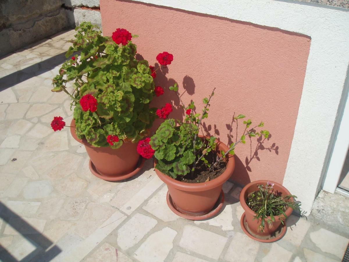 Apartments & Room Madi Senj  Dış mekan fotoğraf